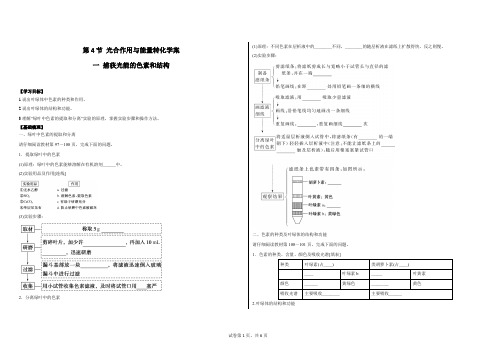 光合作用与能量转化学案