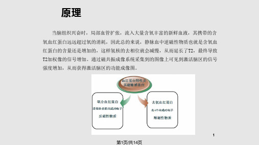 磁共振功能成像的临床应用PPT课件