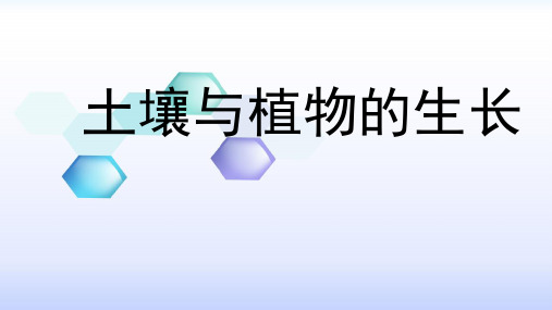 五年级上册科学课件-2土壤与植物的生长 ｜冀教版  (共12张PPT)