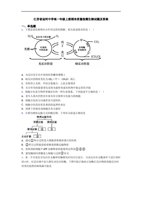 江苏省运河中学高一年级上册期末质量检测生物试题及答案