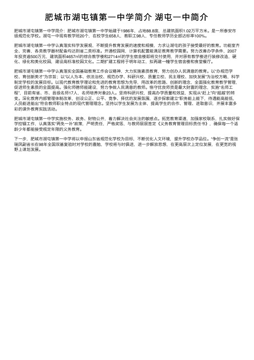 肥城市湖屯镇第一中学简介