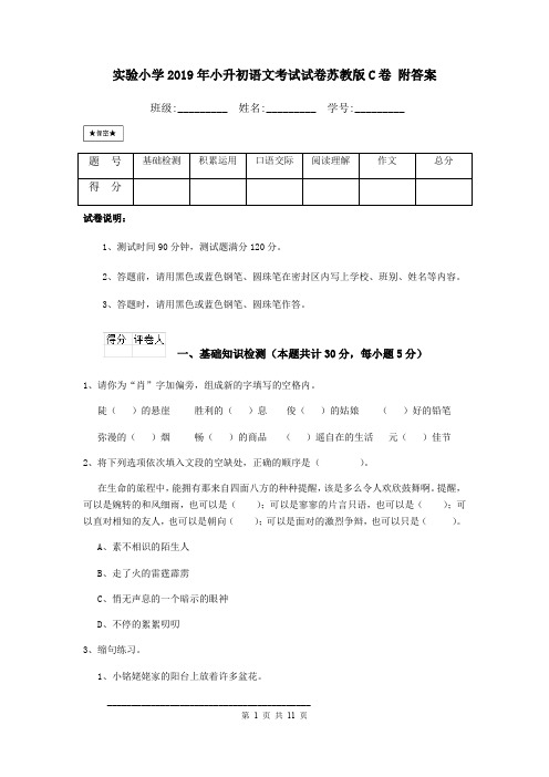 实验小学2019年小升初语文考试试卷苏教版C卷 附答案