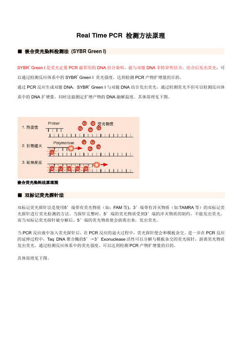 Real Time PCR 检测方法原理