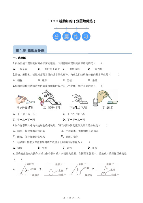 【2024版人教版生物七上同步练习】第1单元 生物和细胞分1.2.2 植物细胞(原卷版)