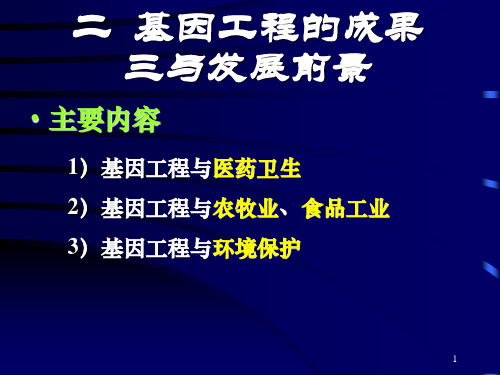 c基因工程成果和发展前景上课用PPT课件