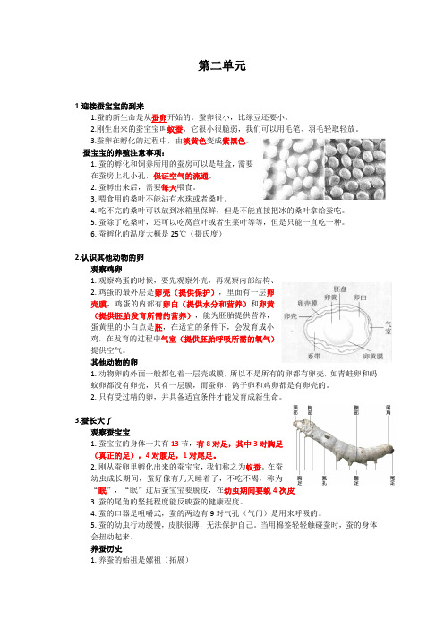 新教材教科版三年级下册第二单元知识点整理