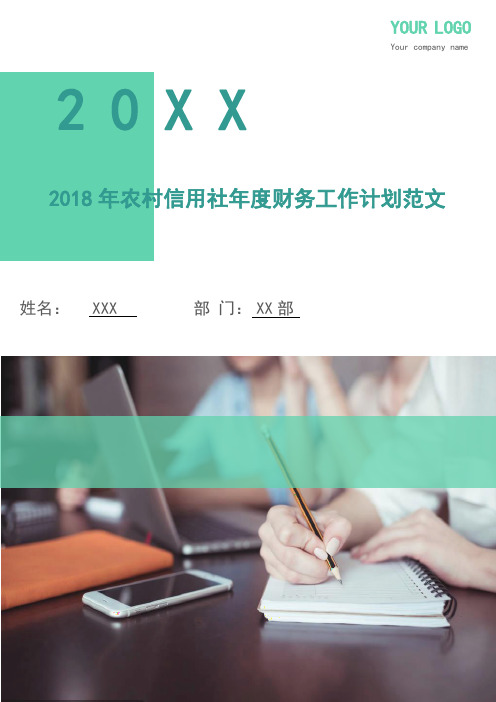 2018年农村信用社年度财务工作计划范文