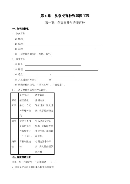 高考生物一轮复习教案：6.1 杂交育种与诱变育种