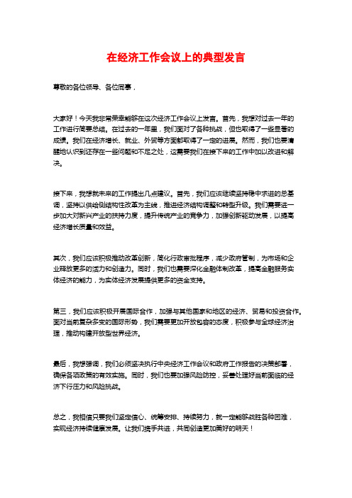 在经济工作会议上的典型发言