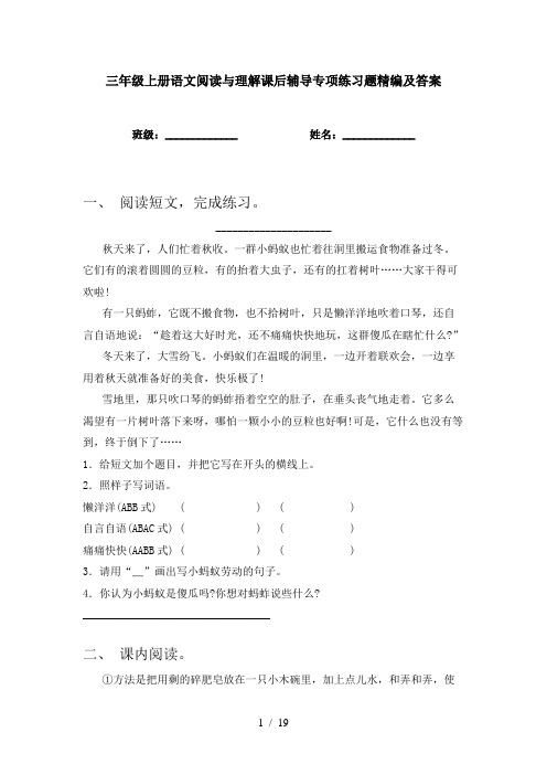 三年级上册语文阅读与理解课后辅导专项练习题精编及答案