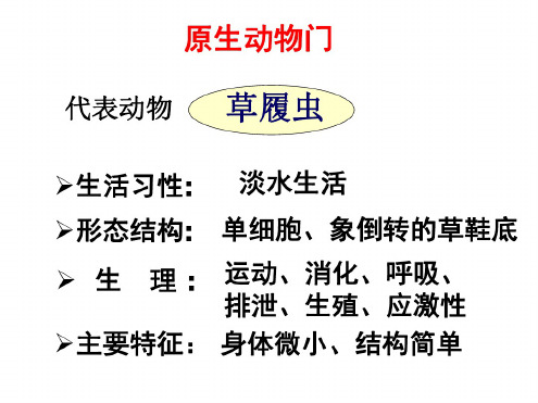 九年级生物原生动物门3