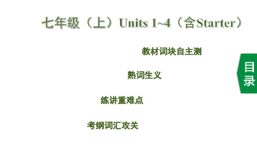 中考英语(人教新目标)一轮复习基础考点一遍过七年级(上)Units 1~4(含Starter)