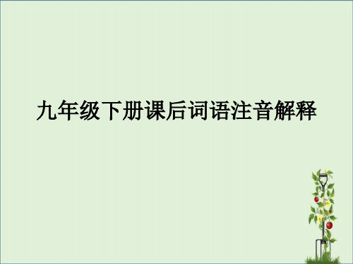 九年级下册课后词语注音解释概要