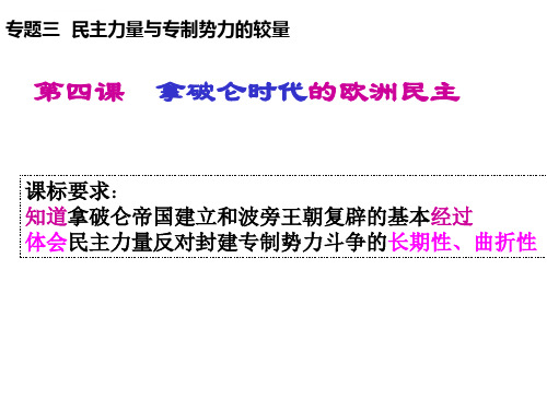 拿破仑时代的欧洲民主ppt课件高中历史人民社2003课标版选修近代社会的民主思想与实践课件