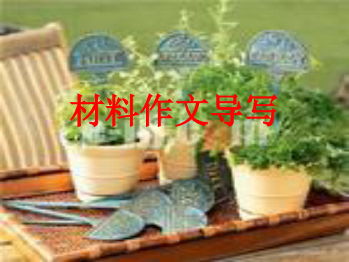 材料作文导写 PPT课件