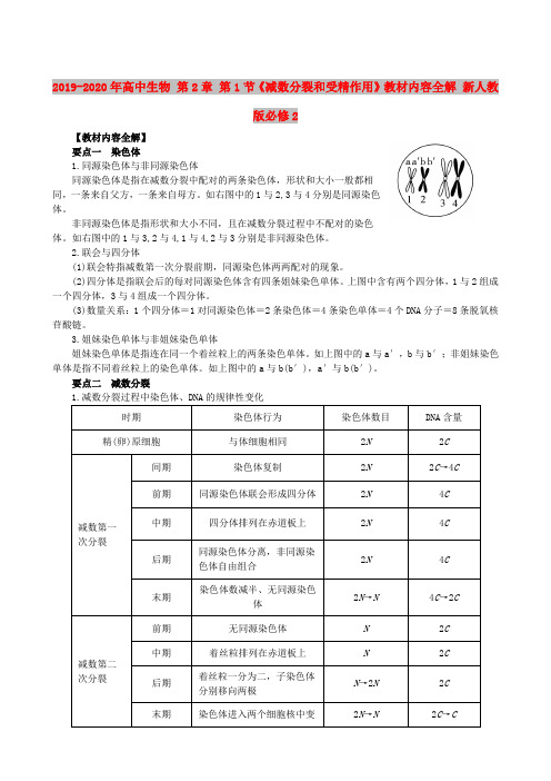 2019-2020年高中生物 第2章 第1节《减数分裂和受精作用》教材内容全解 新人教版必修2