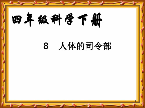 小学科学四年级下册《人体的司令部》PPT课件