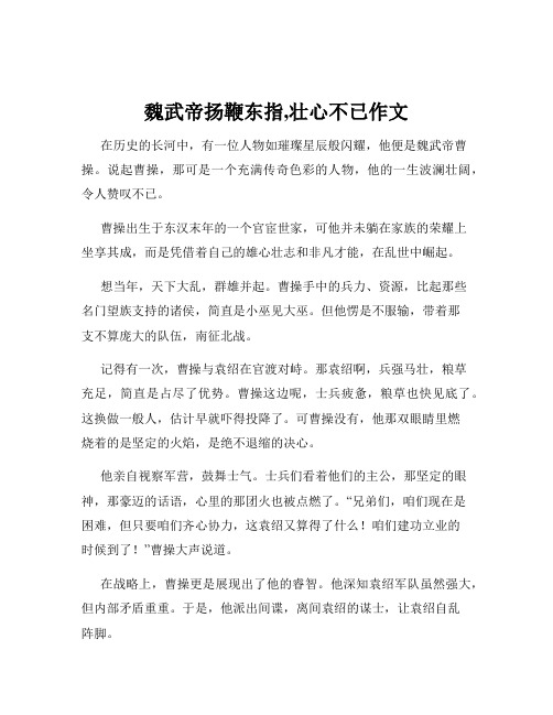 魏武帝扬鞭东指,壮心不已作文