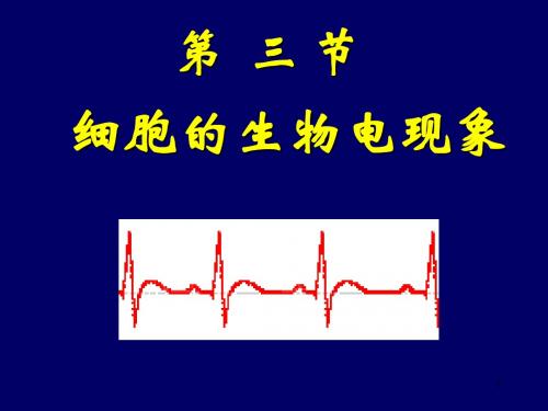 细胞的生物电现象ppt课件