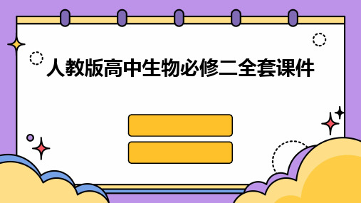 2024人教版高中生物必修二全套课件