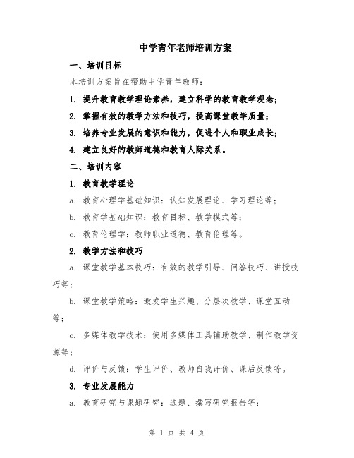 中学青年老师培训方案