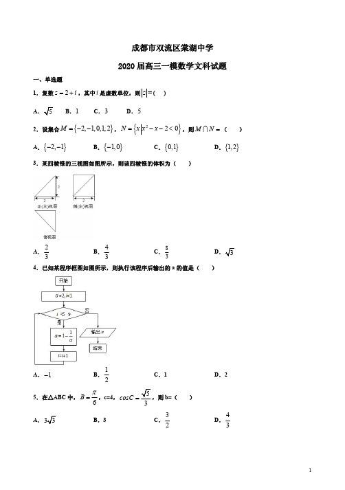 成都市双流区棠湖中学2020届高三一模数学文科试题附答案解析