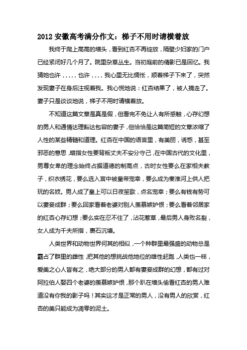 2012安徽高考满分作文：梯子不用时请横放