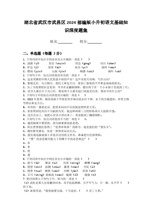 湖北省武汉市武昌区2024部编版小升初语文基础知识深度题集