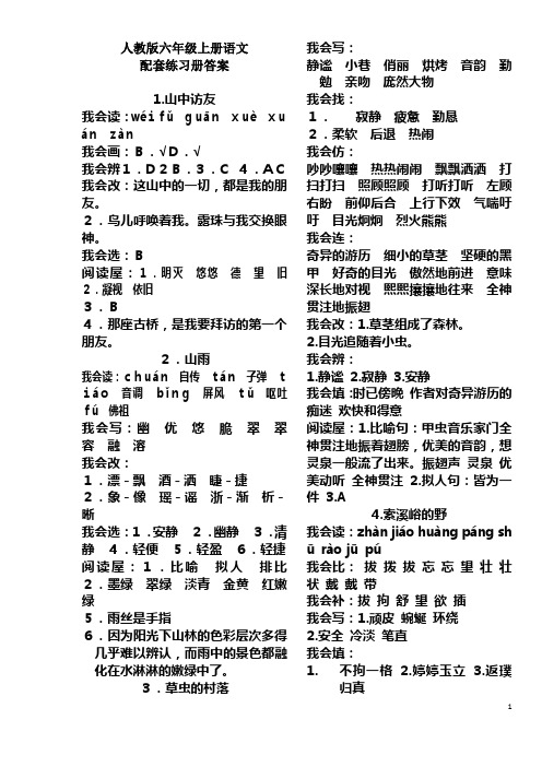 新课标 人教版六年级上册配套练习册答案