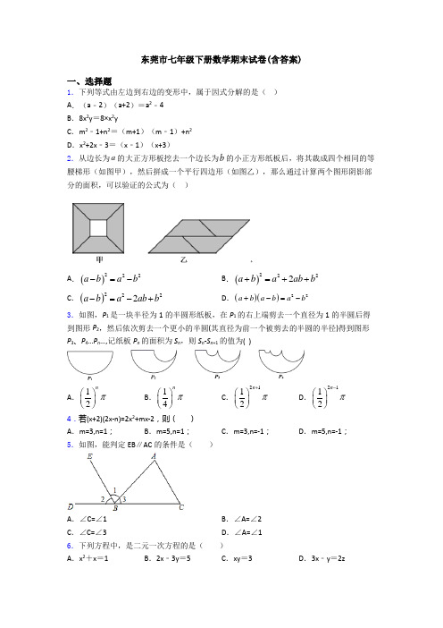 东莞市七年级下册数学期末试卷(含答案)