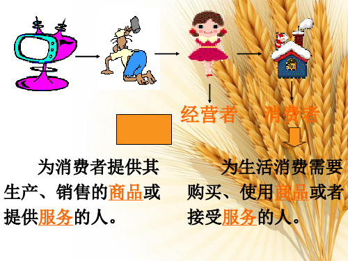 八年级思想品德下册人教版教学课件第二框维护消费者权益2资料