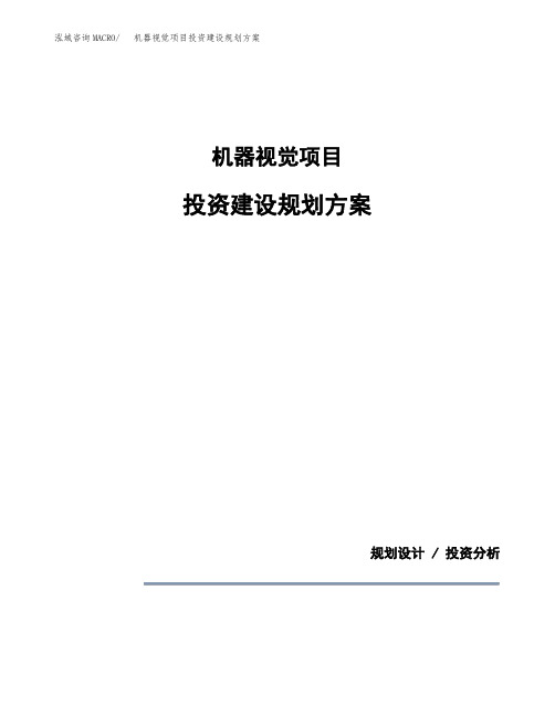 机器视觉项目投资建设规划方案(模板)