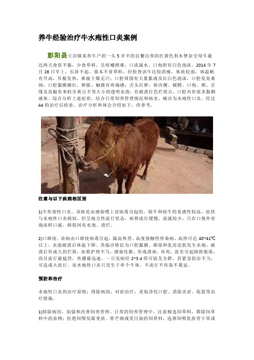 养牛经验治疗牛水疱性口炎案例