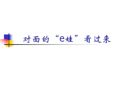 EVA管理体系介绍(ppt 44)