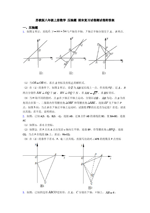 苏教版八年级上册数学 压轴题 期末复习试卷测试卷附答案