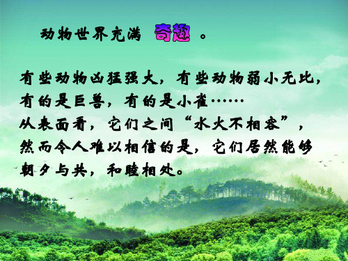 有趣的动物共栖现象