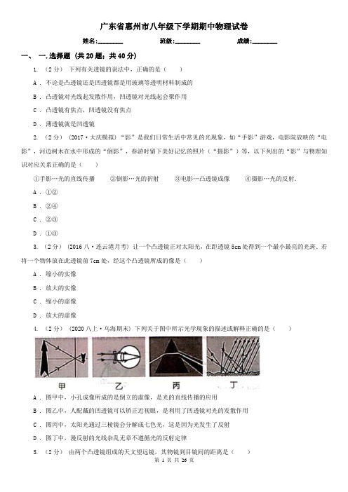 广东省惠州市八年级下学期期中物理试卷