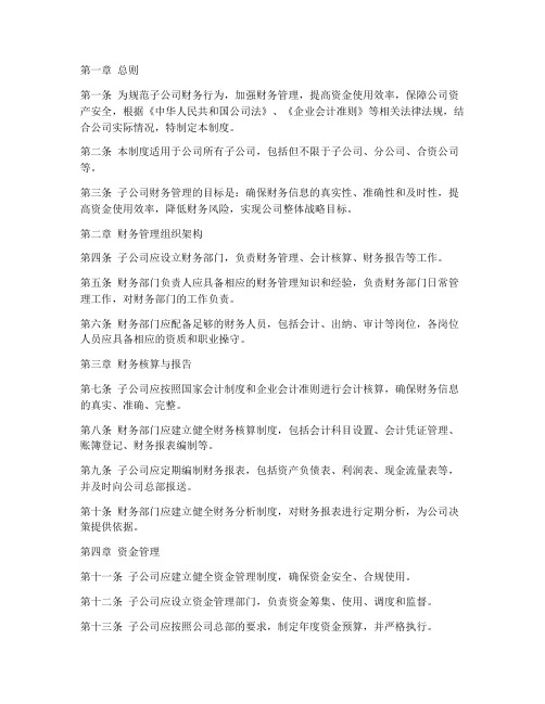 财务管理制度子公司