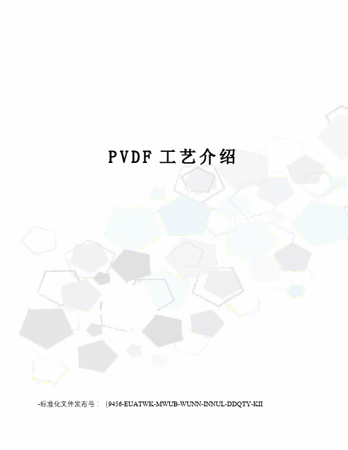 PVDF工艺介绍