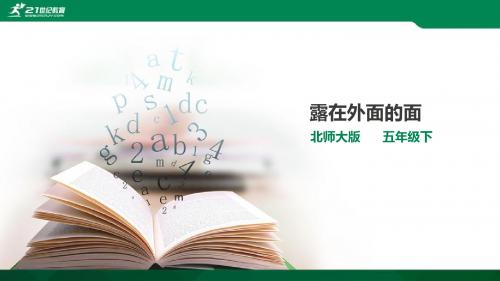 《露在外面的面》课件