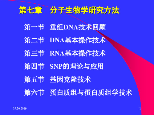 大学分子生物学经典课件第七章 分子生物学的研究方法-114页PPT文档资料