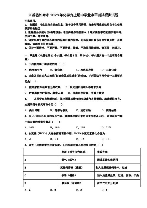 江苏省如皋市2023年化学九上期中学业水平测试模拟试题含解析