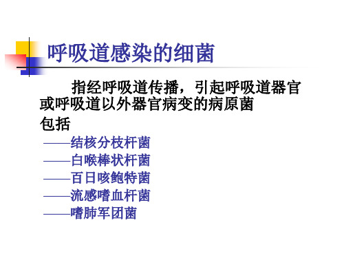 呼吸道感染的细菌