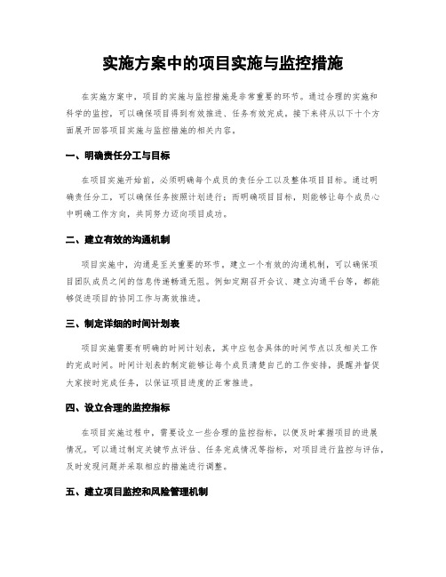 实施方案中的项目实施与监控措施