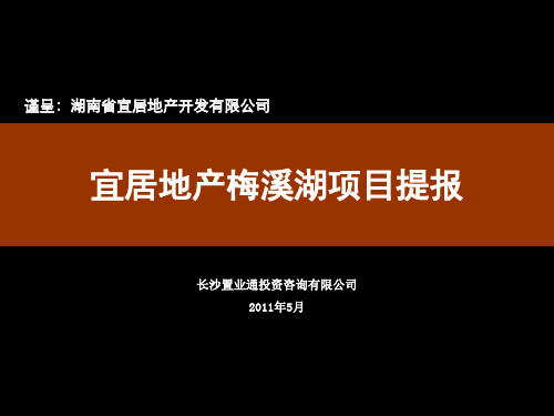  长沙梅溪湖地产项目(案例分析)资料