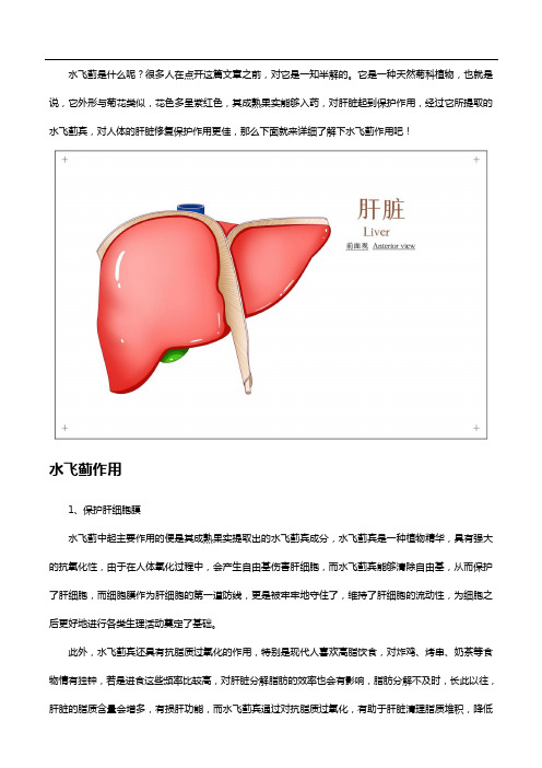 护肝成分中的“佼佼者”,水飞蓟作用如何