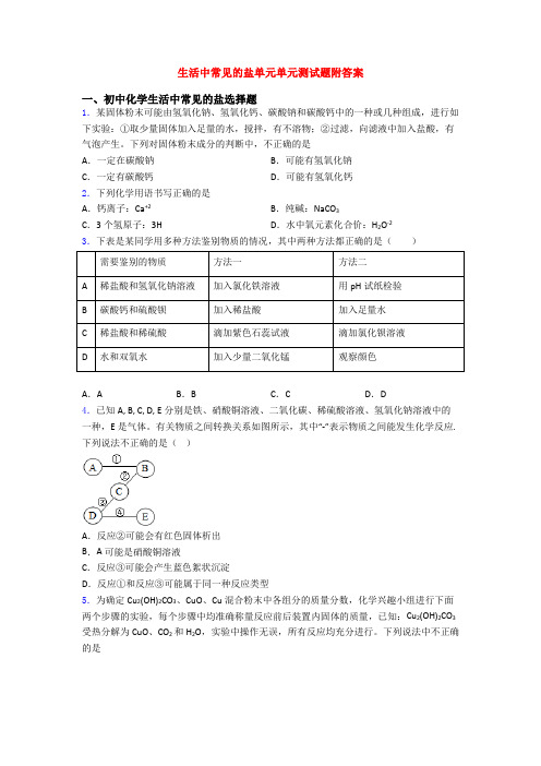 生活中常见的盐单元单元测试题附答案