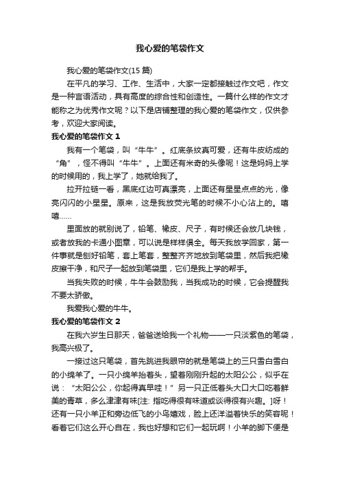 我心爱的笔袋作文