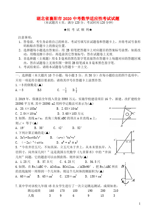 湖北省襄阳市2020中考数学适应性考试试题