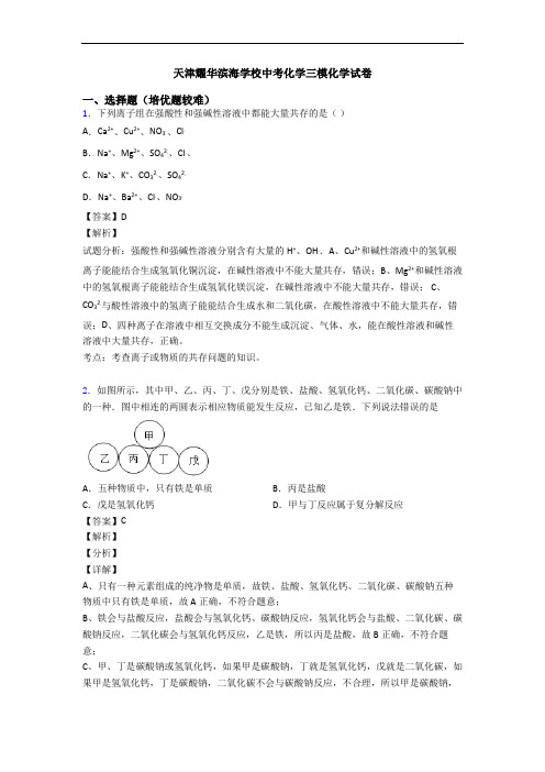 天津耀华滨海学校中考化学三模化学试卷